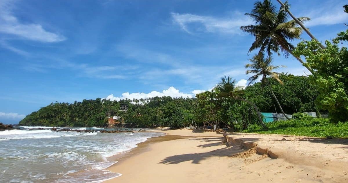 Srí Lanka a záchranná stanice zvířat – Kam jdou peníze turistů a jak funguje ochrana mořských želv?