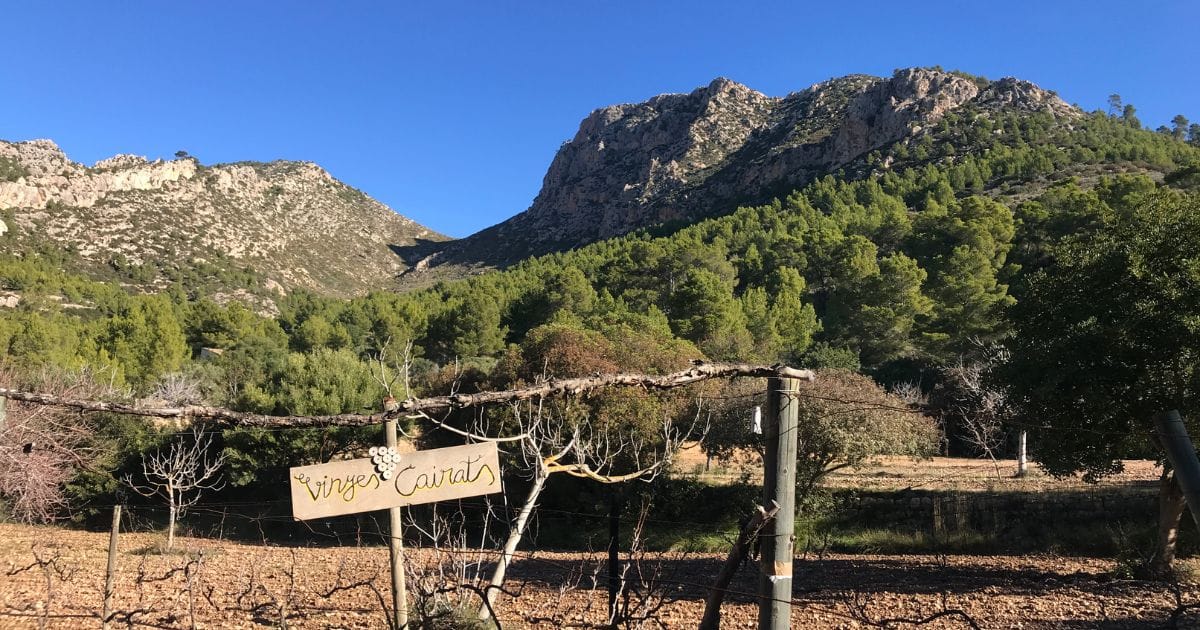 Mallorca co vidět