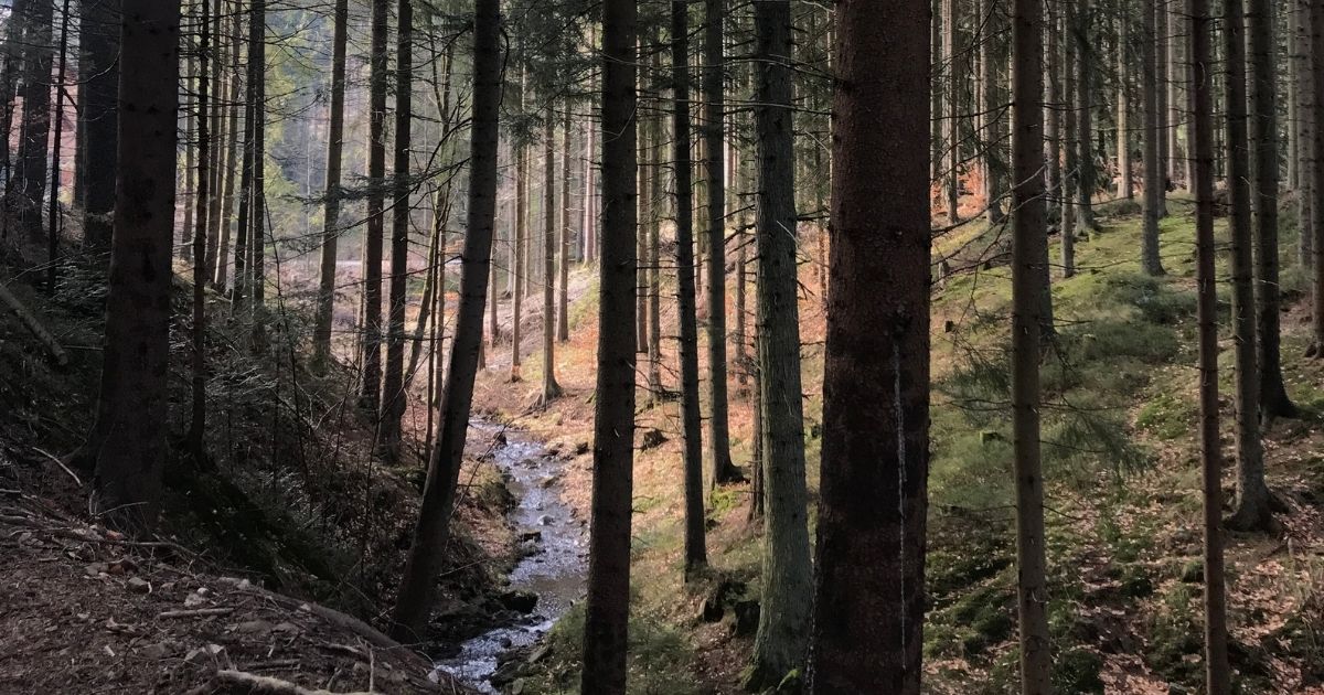18 nápadů, kam na výlet autem v Moravskoslezském kraji