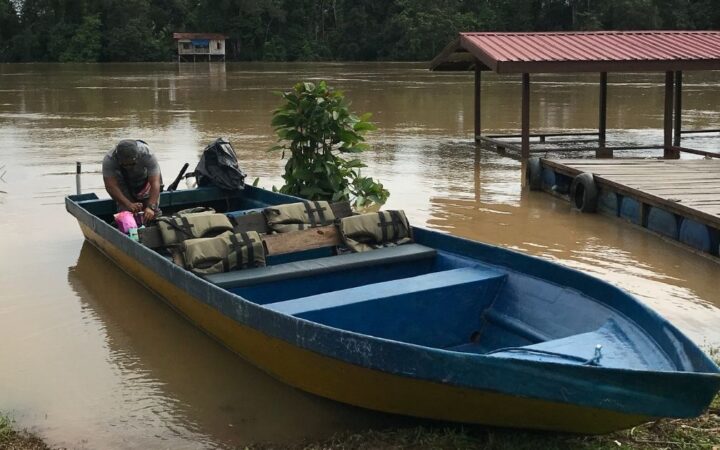 Safari na řece Kinabatangan: dobrodružství v divočině na vlastní pěst