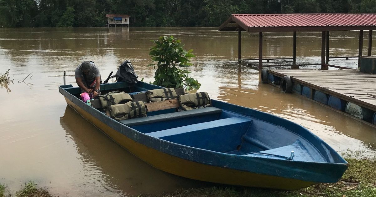 Safari na řece Kinabatangan: dobrodružství v divočině na vlastní pěst