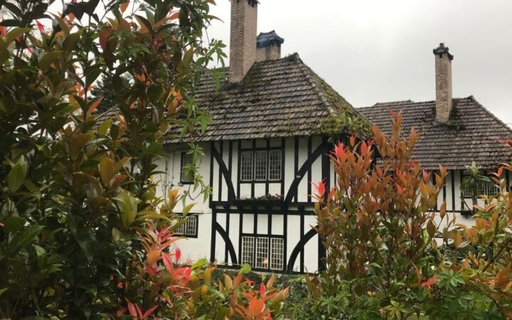 13 míst v Cameron Highlands v Malajsie, které vám vyrazí dech