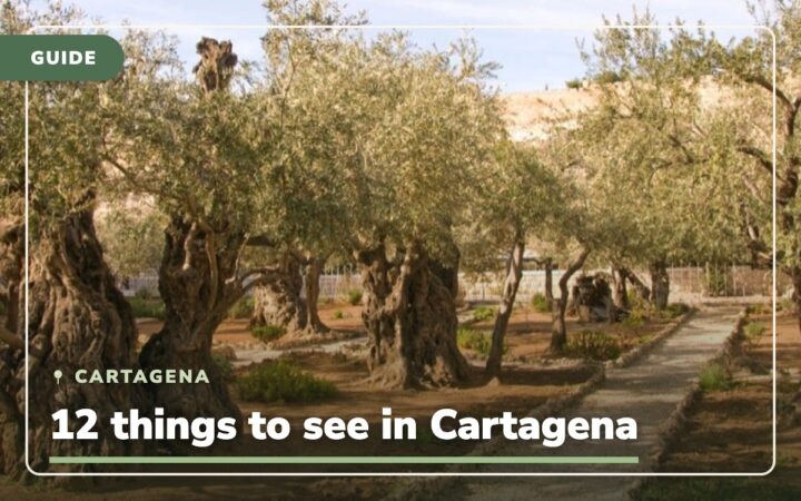 Cartagena Colombia: 12 tips to see in Cartagena
