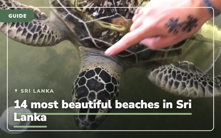What kind of beaches does Sri Lanka have? 14 most beautiful beaches