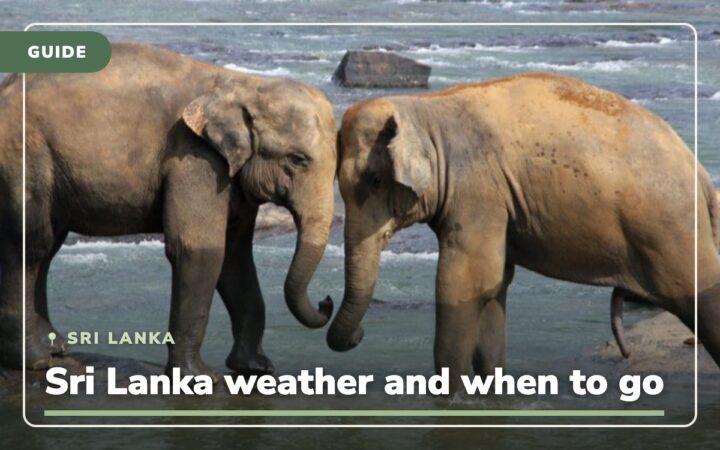 What is the weather in Sri Lanka like and when to go