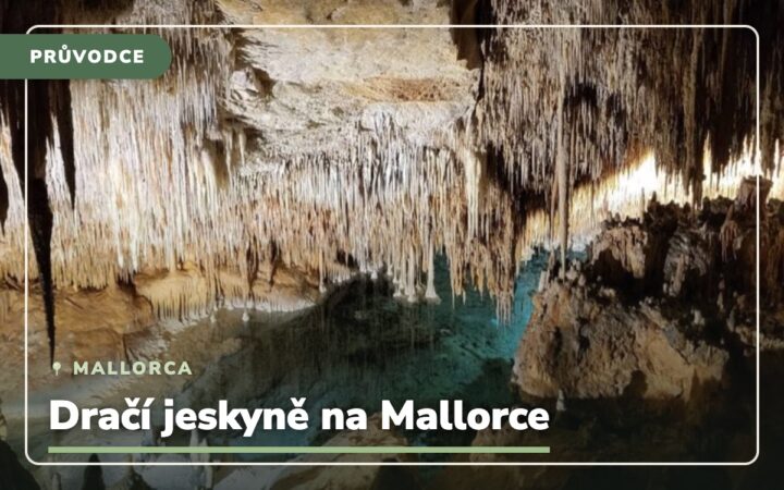 Dračí jeskyně – Mallorca (Cuevas del Drach): Cesta, vstup a zajímavosti
