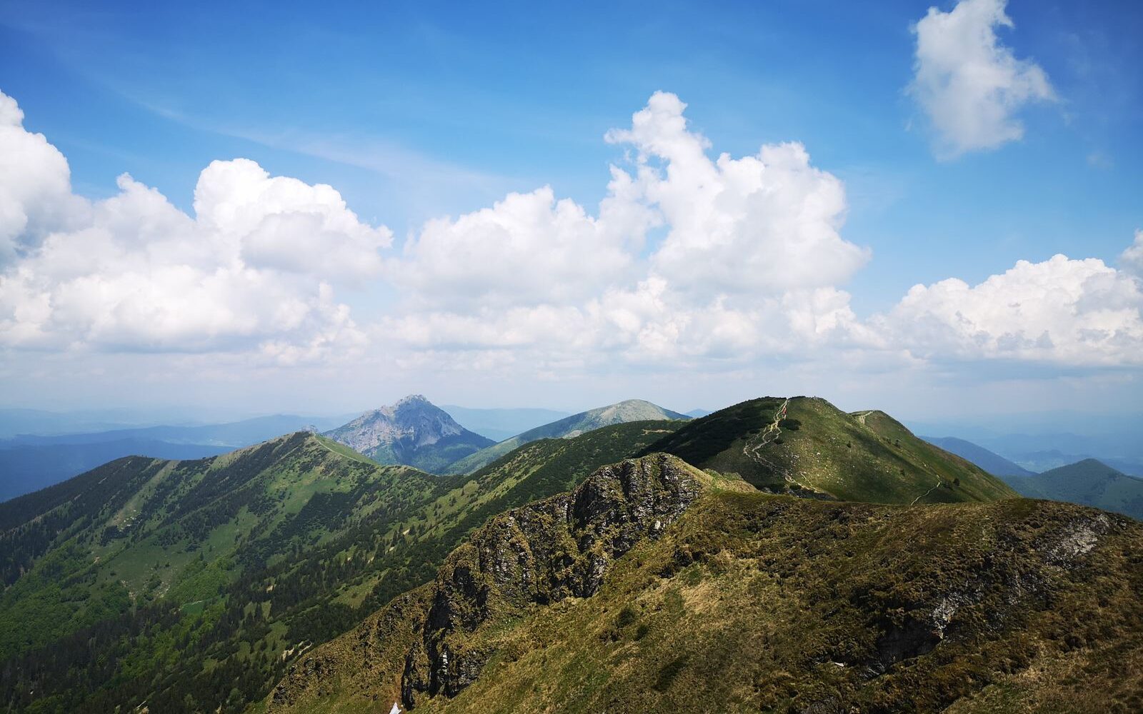 Hřeben Malé Fatry v létě, v pozadí špičatý vrchol Velkého Rozsutce