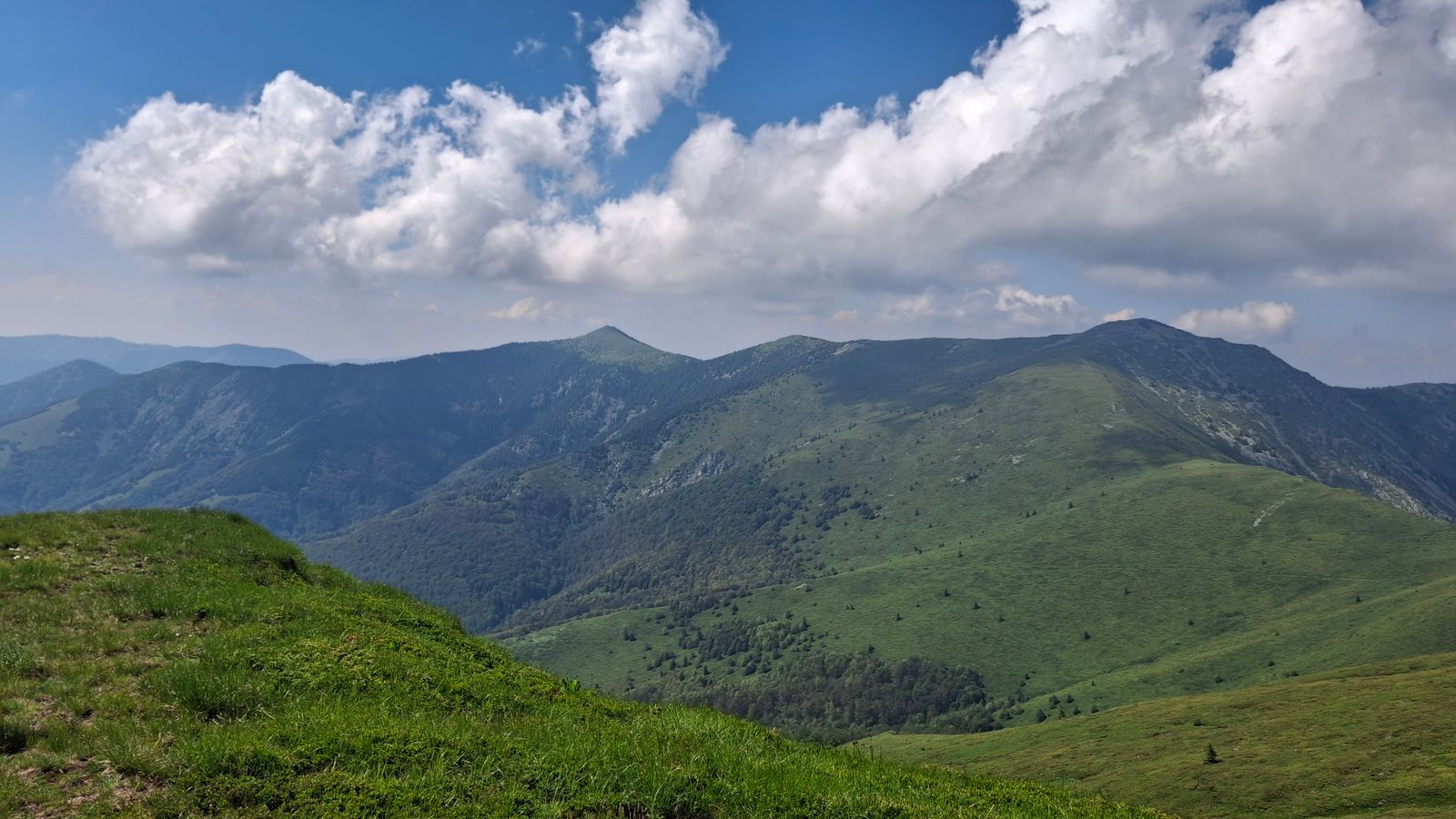 Travnaté hřebeny nad bukovými lesy pod letní oblohou