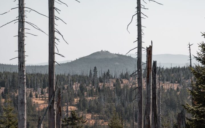 Highest Mountains of Šumava (Bohemian Forest): 14 Peaks